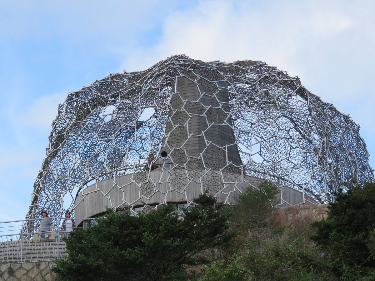 🏞️ 롯코 가든 테라스 이미지 7